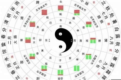 八字算五行|生辰八字算命、五行喜用神查询（免费测算）